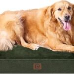 Extra Large Dogs 44x32Inch, Waterproof Memory Foam