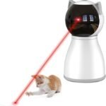 Cat Toys for Indoor Cats