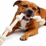 Dog Rope Toys for Large/Medium Aggressive Chewers